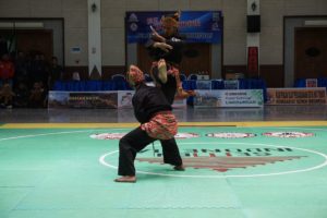 Silat 4