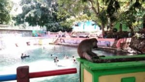 wisata