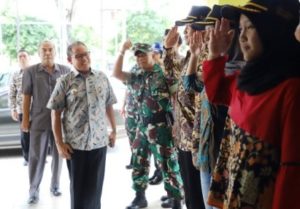 pantau