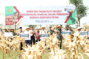 IMG-20191107-WA0030