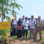 Periksa Tanah Proyek Migas